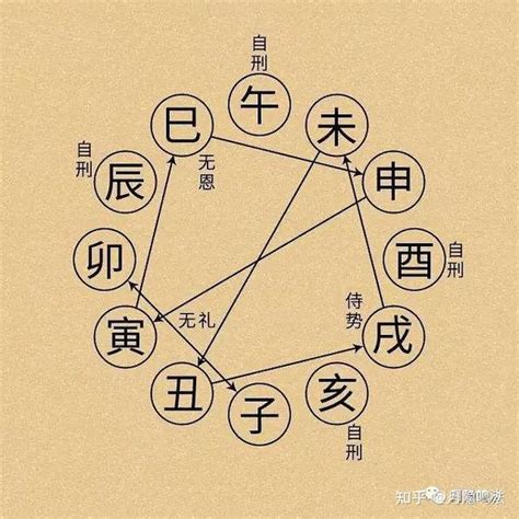 地支合冲|十二地支生、克、刑、冲、合、化的关系